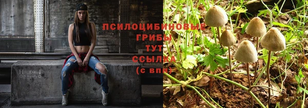 спайс Сосновый Бор