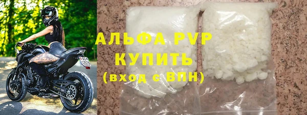 индика Богородск